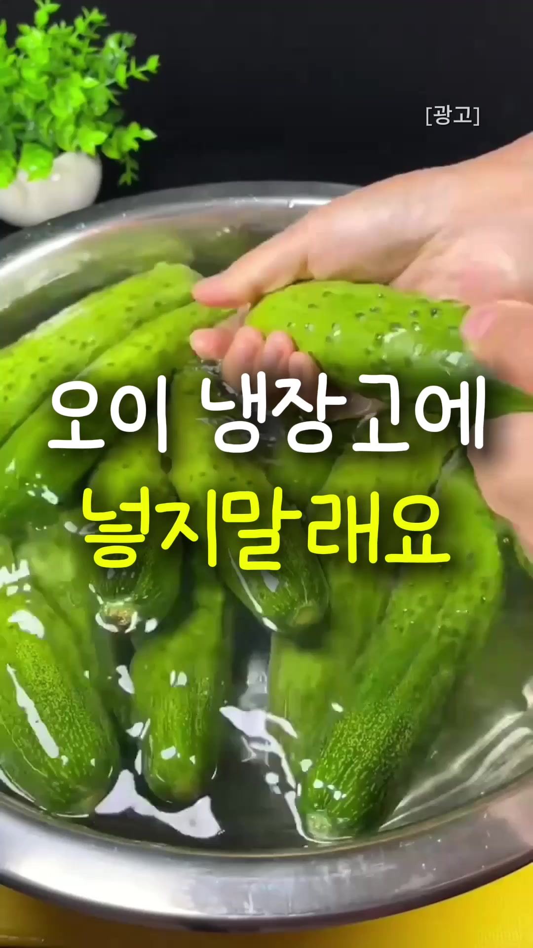 @‼️상품 정보 보러가기‼️