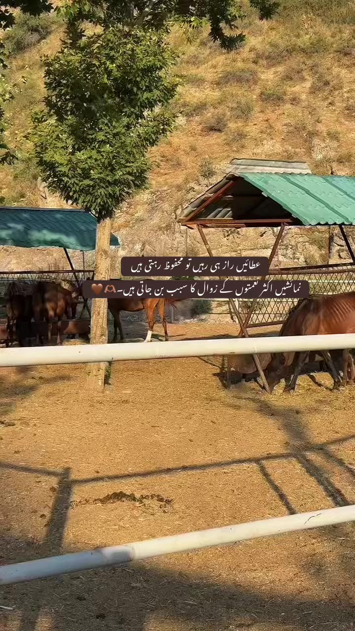 @𝓩.🫀