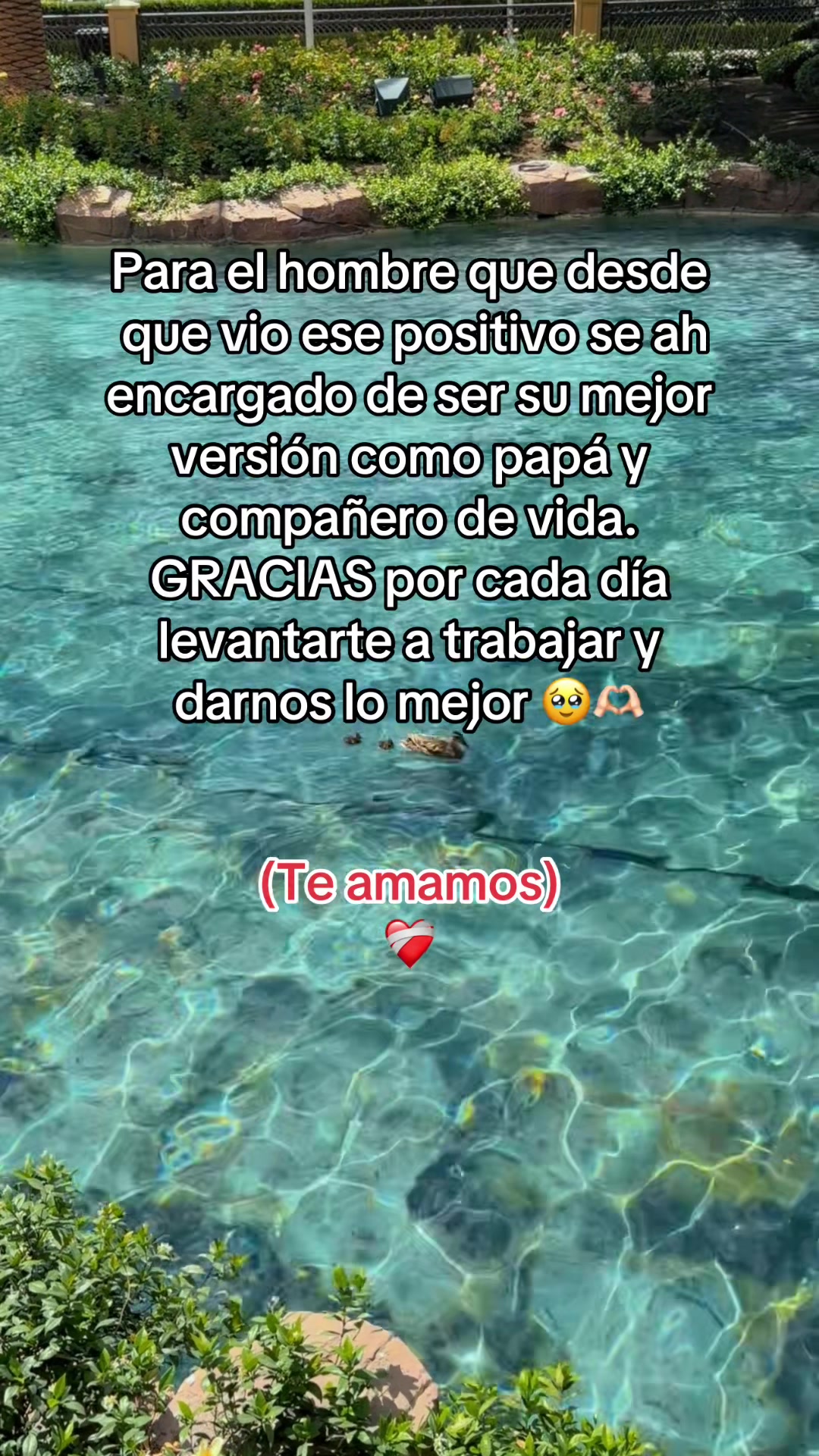 @K a t t y 🦋