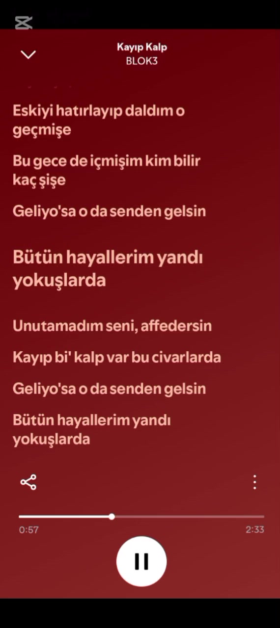 @spotify.mehmet