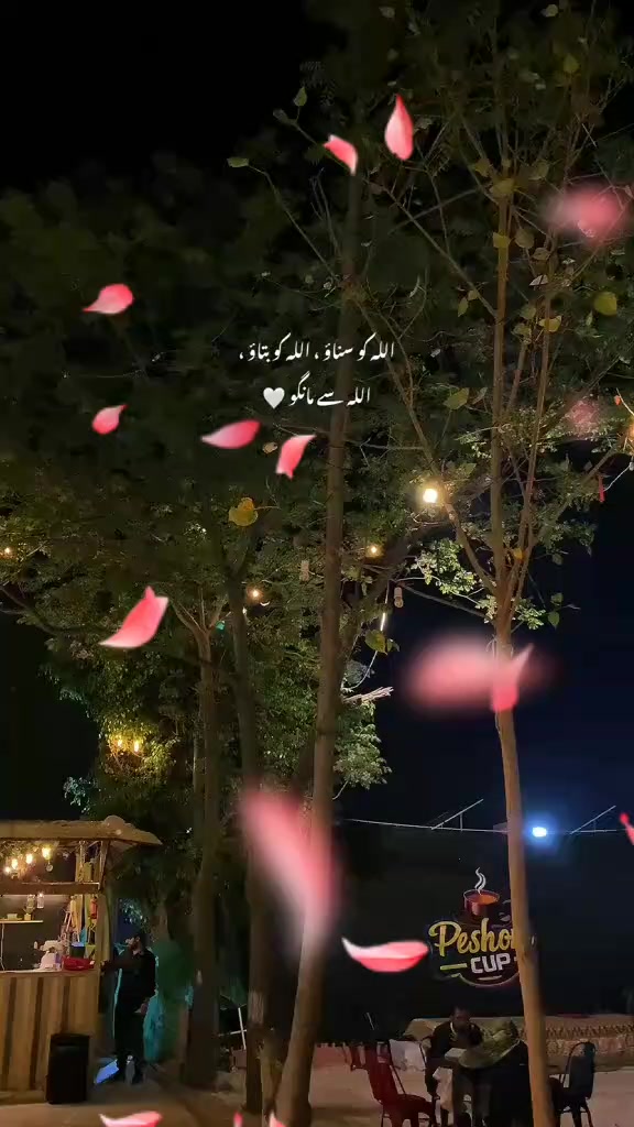 @🦋🦋