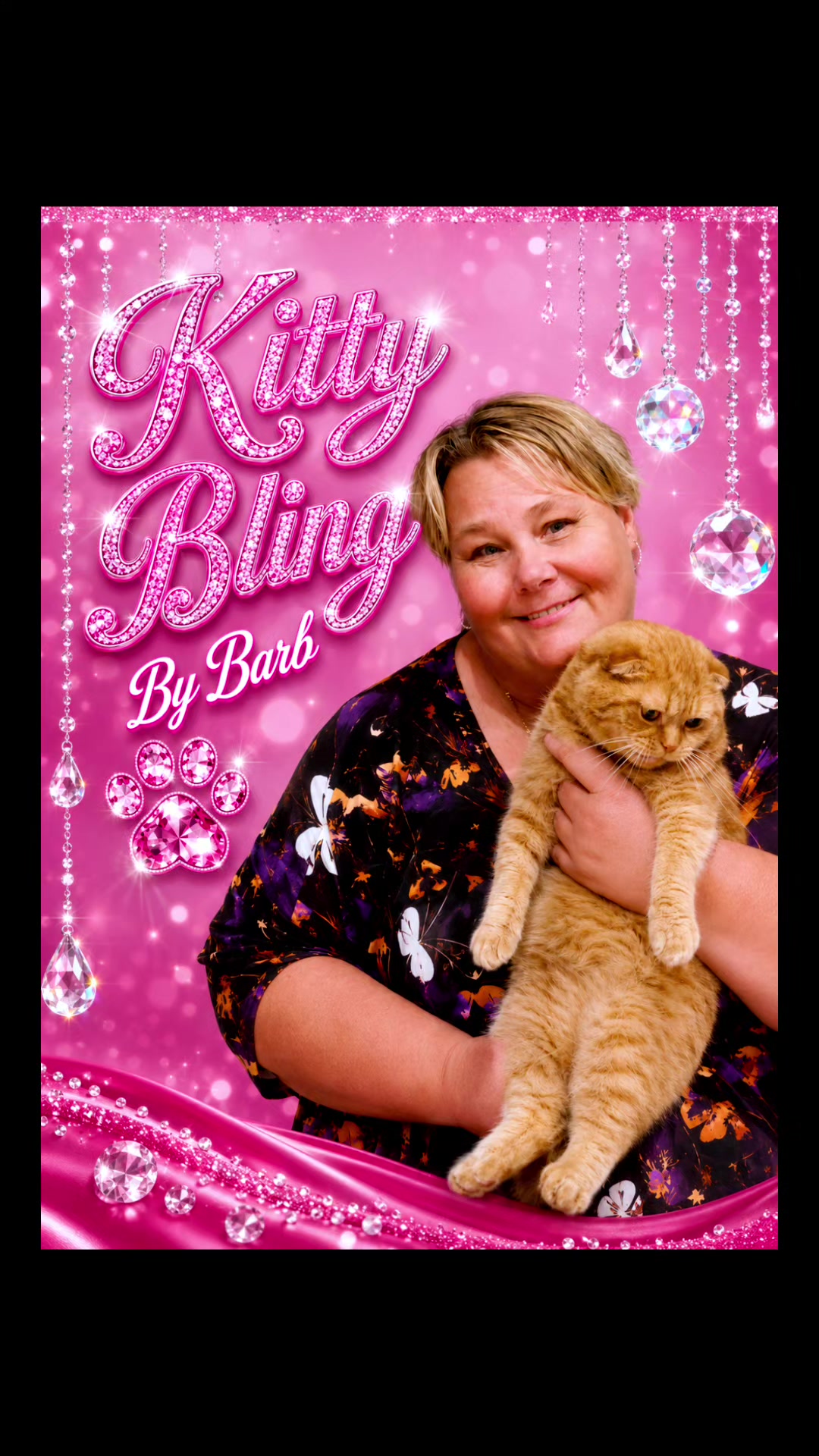 @🐈Barb🐈 Ausbrit Cattery  🇦🇺