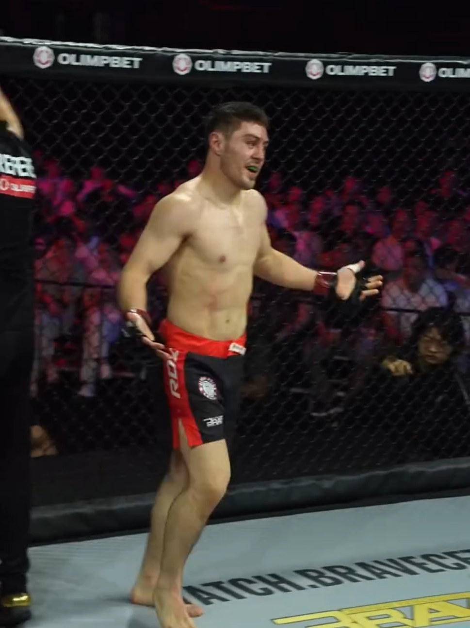 @🇺🇸MMA/AZE🇦🇿🇪🇺