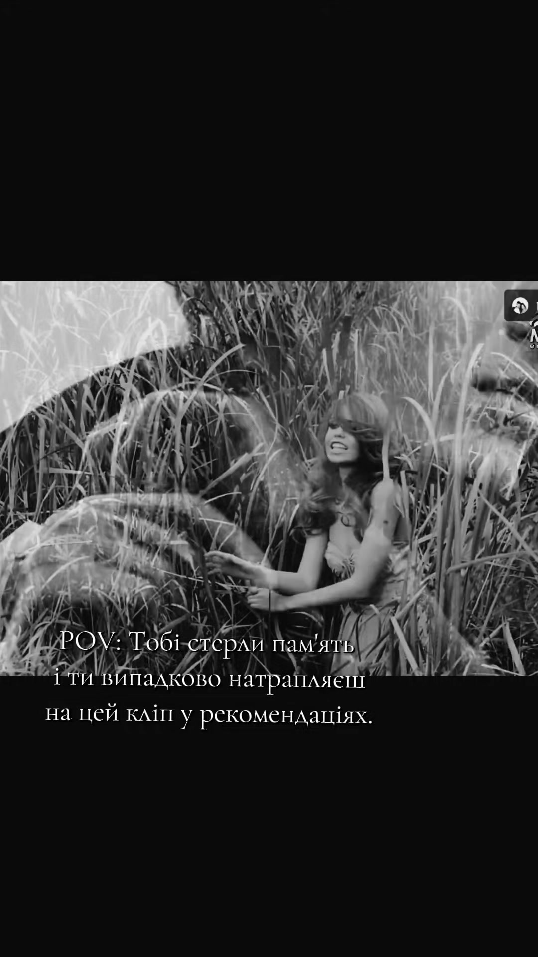 @♡dorofeeva.fp♡