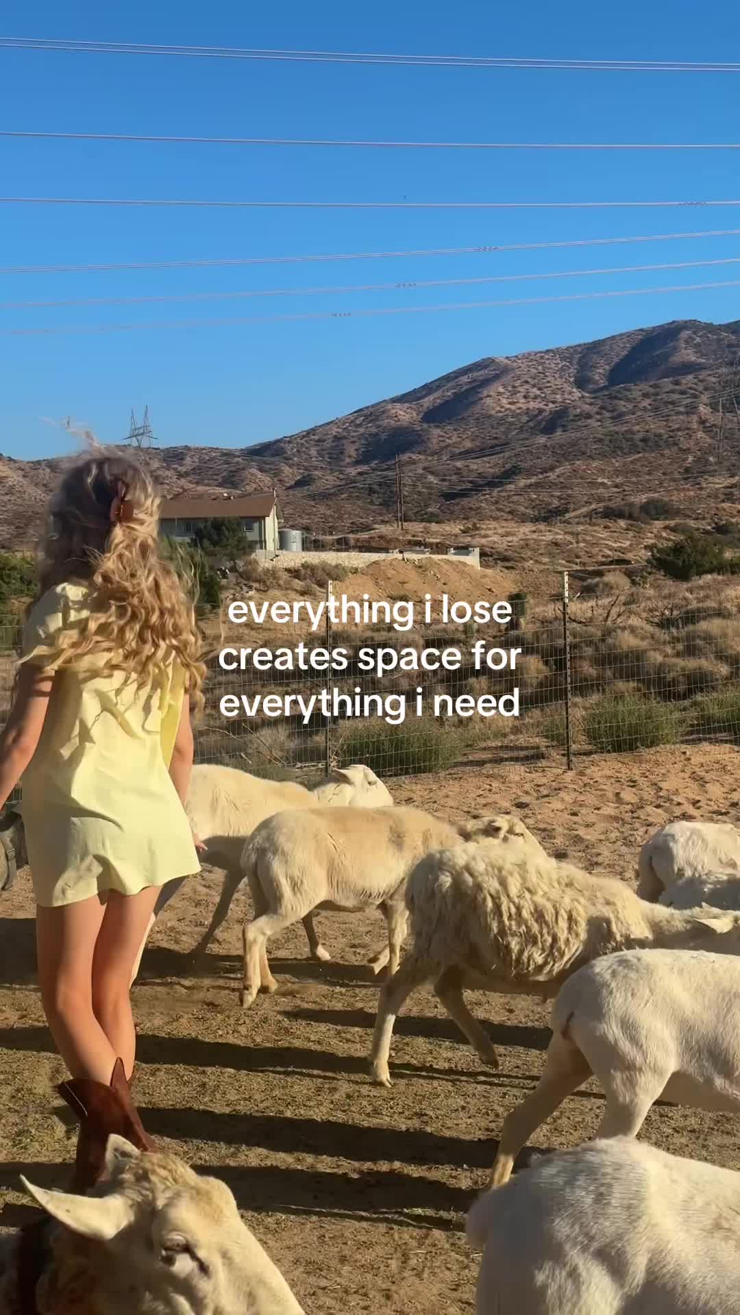 @Kyra Fields