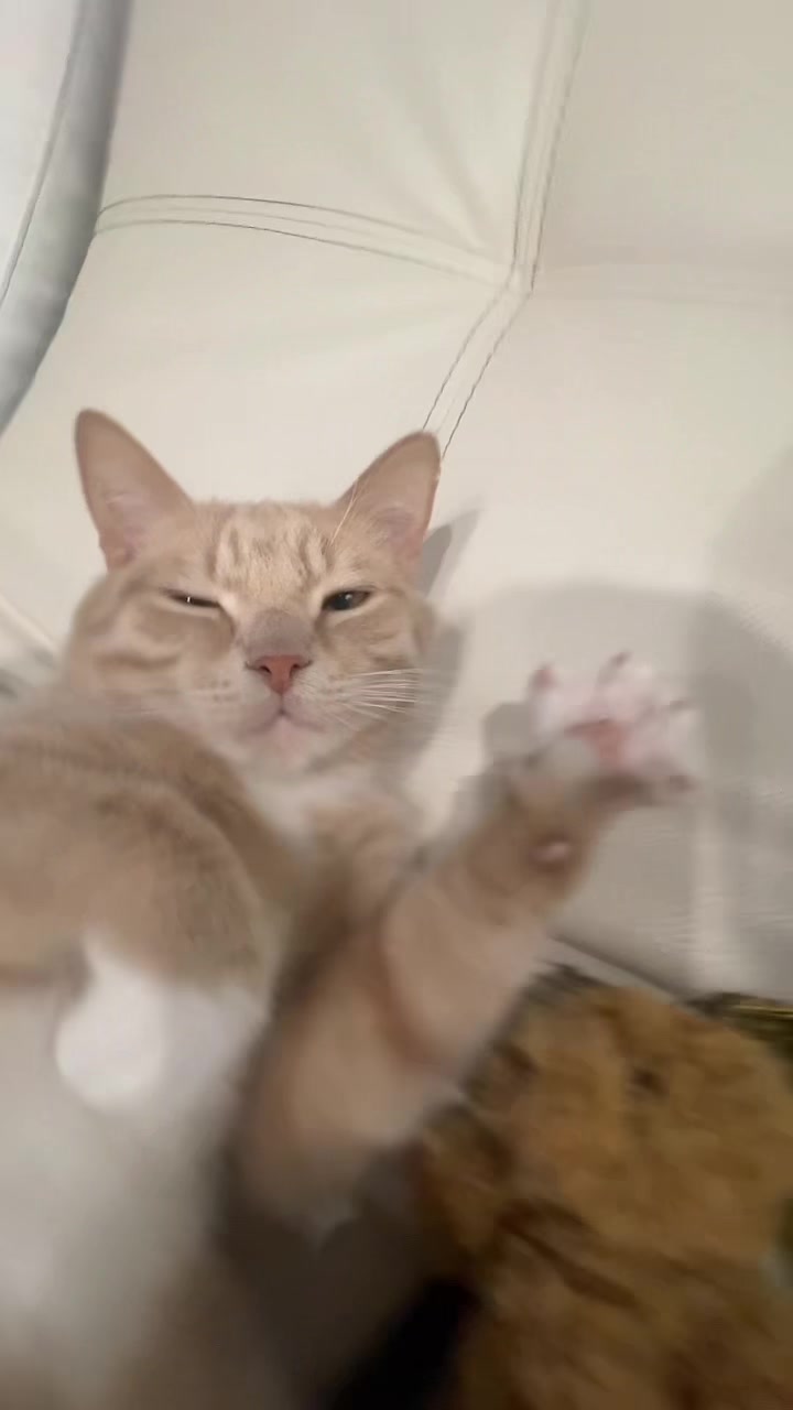 @А
