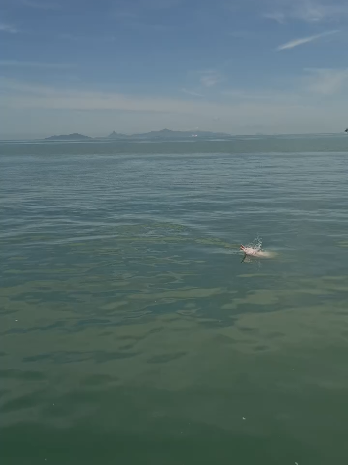 @TourGoat Samui