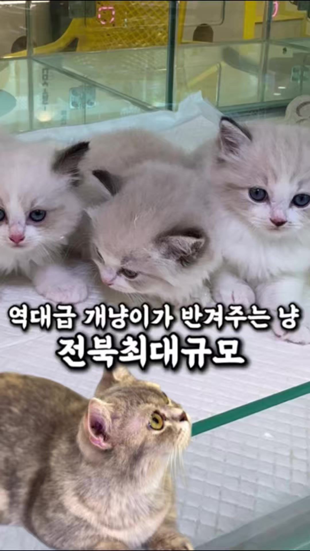 @전주맛집수기