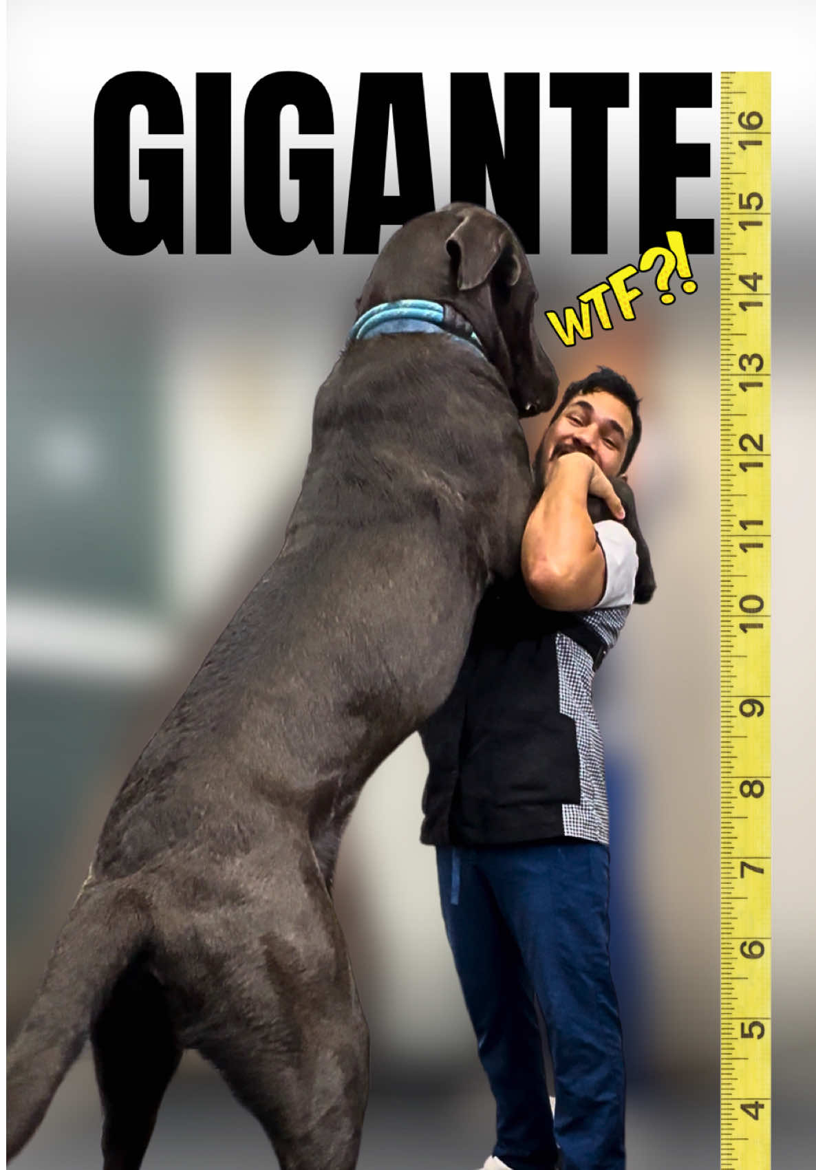@VICTOR THE GROOMER