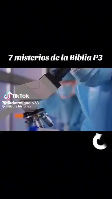 @albertohernande48953