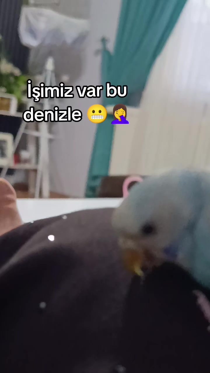 @𝓜𝓮𝓵𝓪𝓱𝓪𝓽 🕊️ 𝓔𝓻𝓴𝓪𝓷