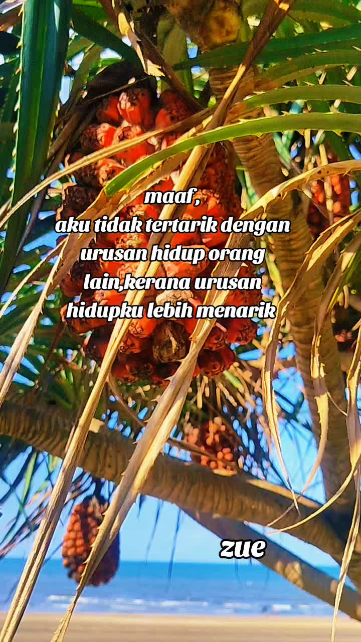 @zue1987