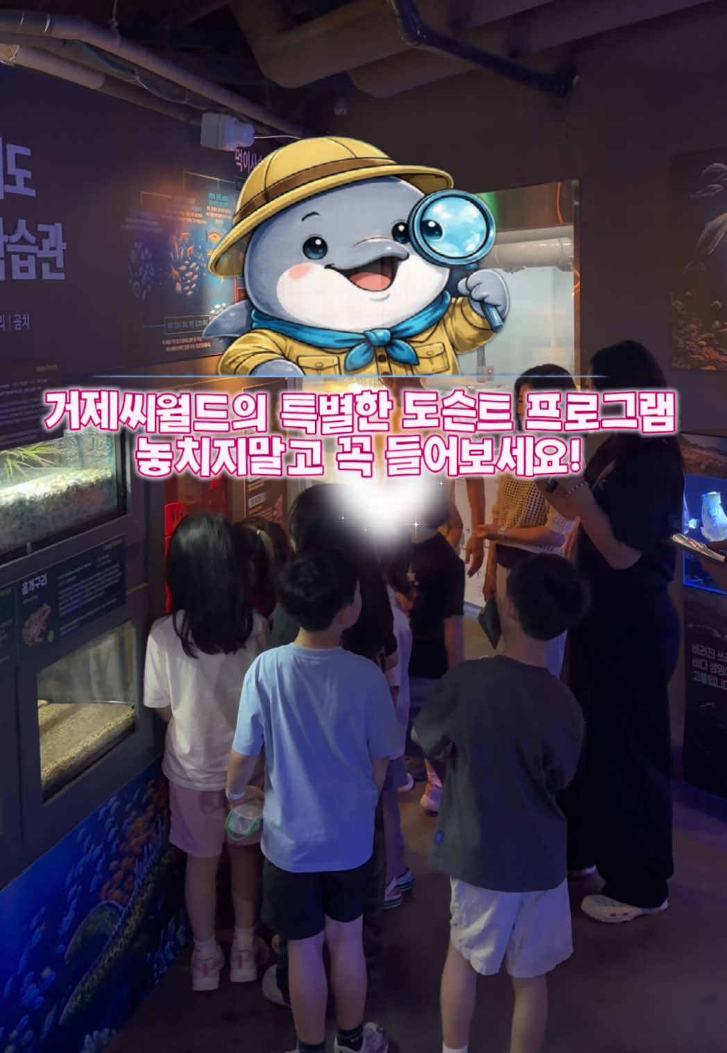 @DolphinTok