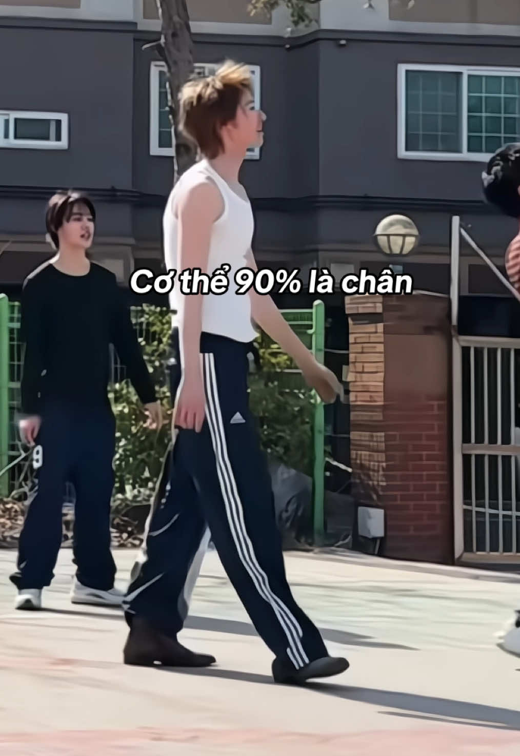 @C&oacute;t t&iacute;t xừ