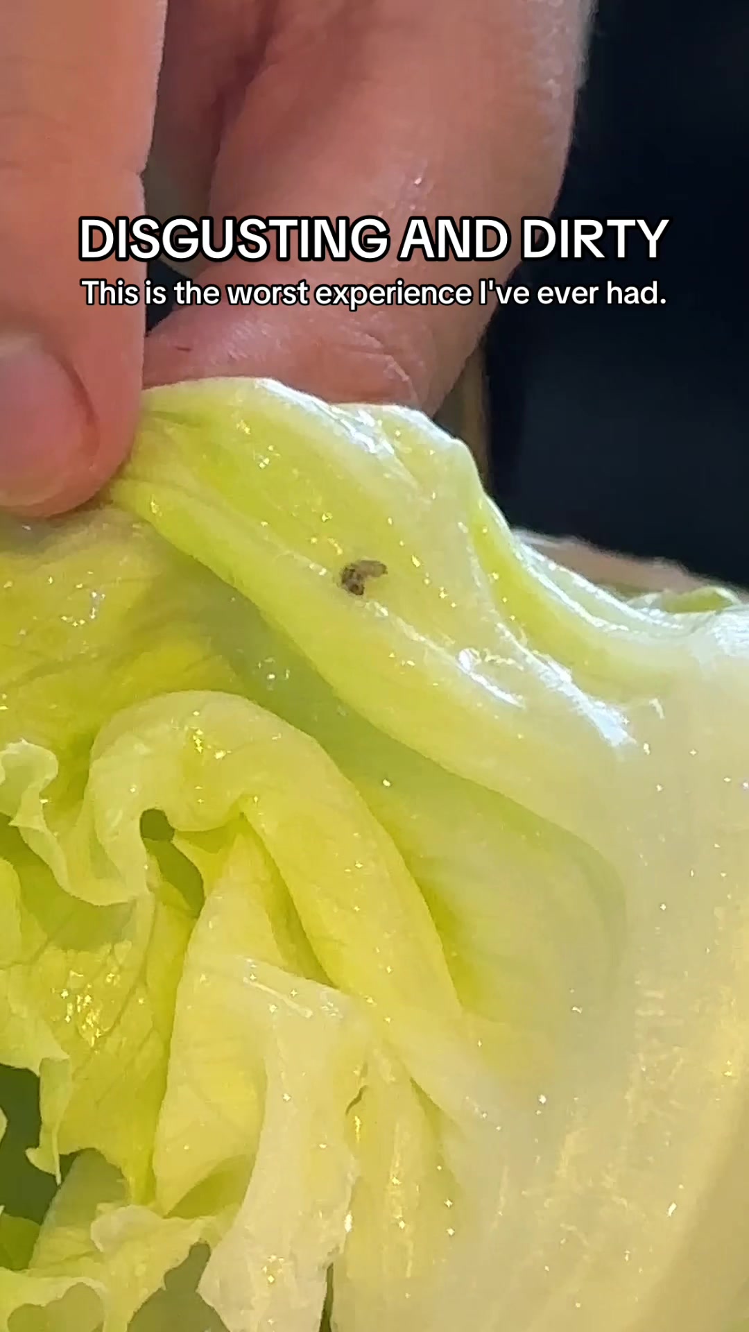 @Foety