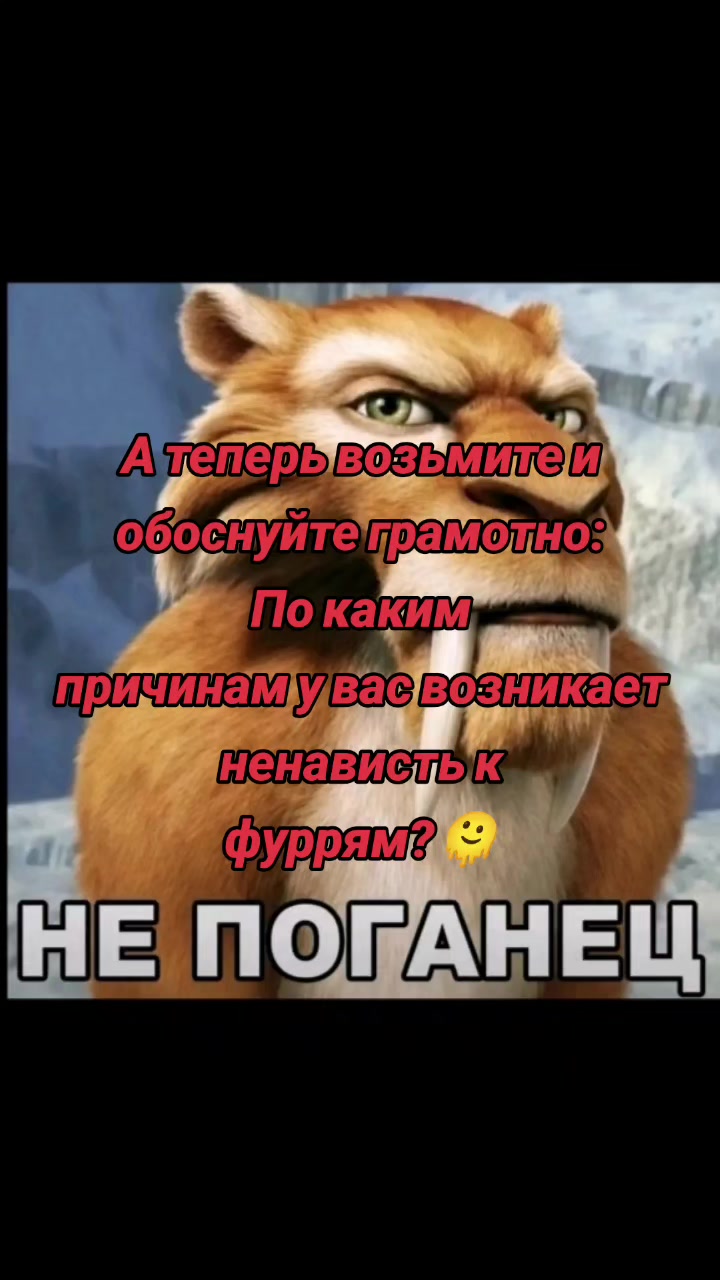 @Кесадилья