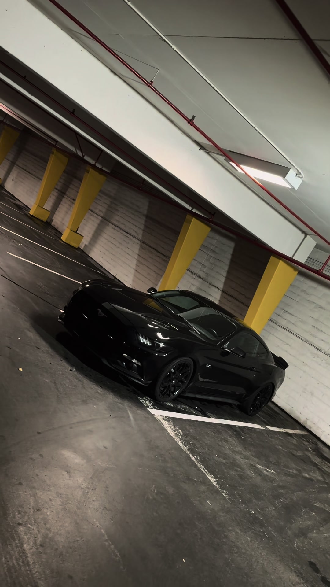 @5.0_alex_0