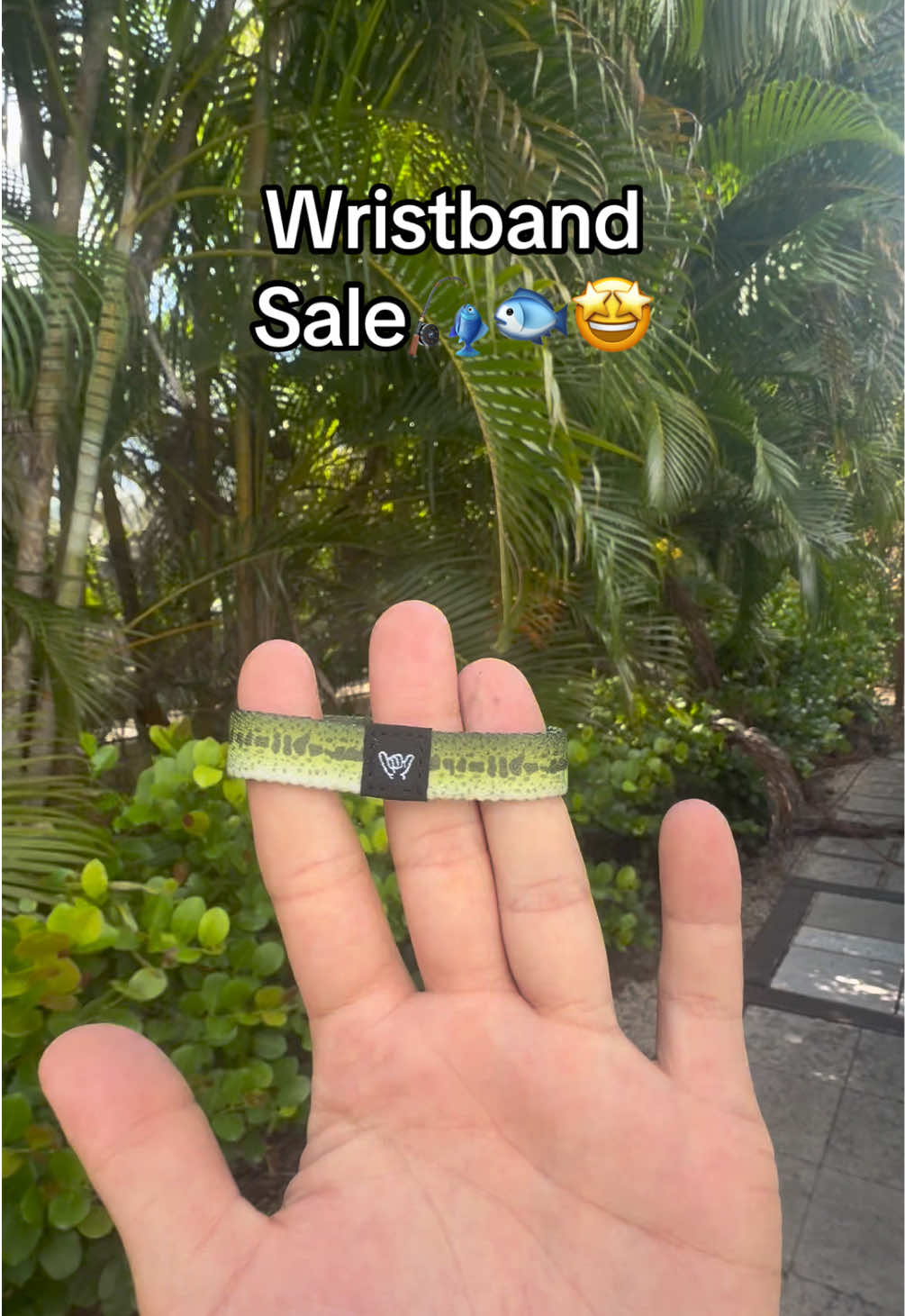 @BsbSticks