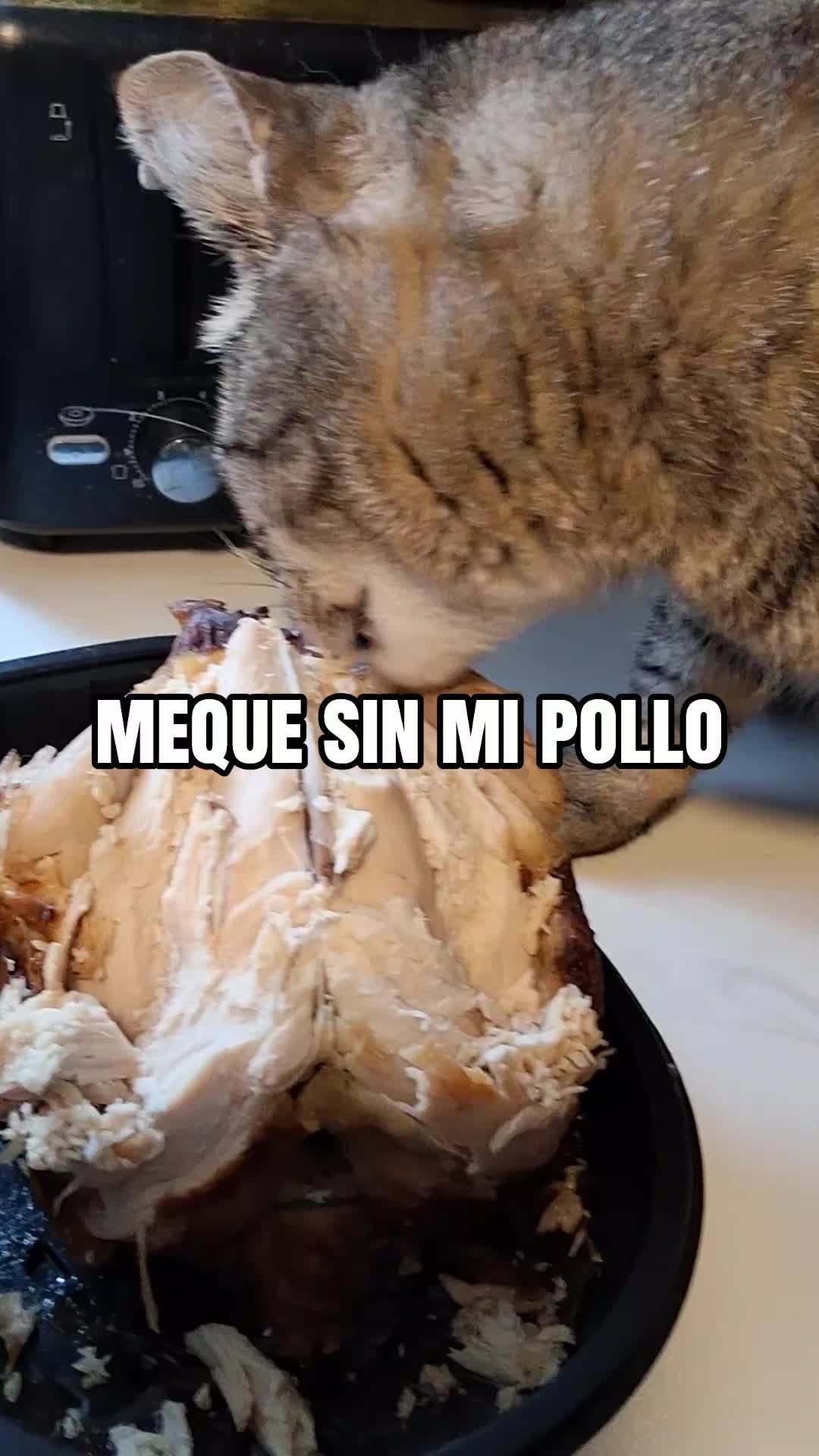 @Mamagatera20