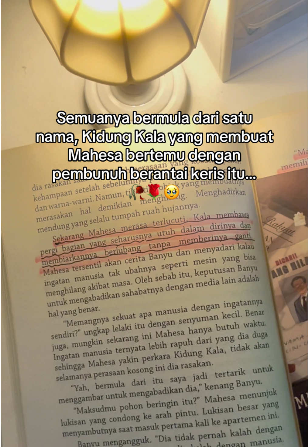 @Penulis Amatir✍️|Book Riview📚