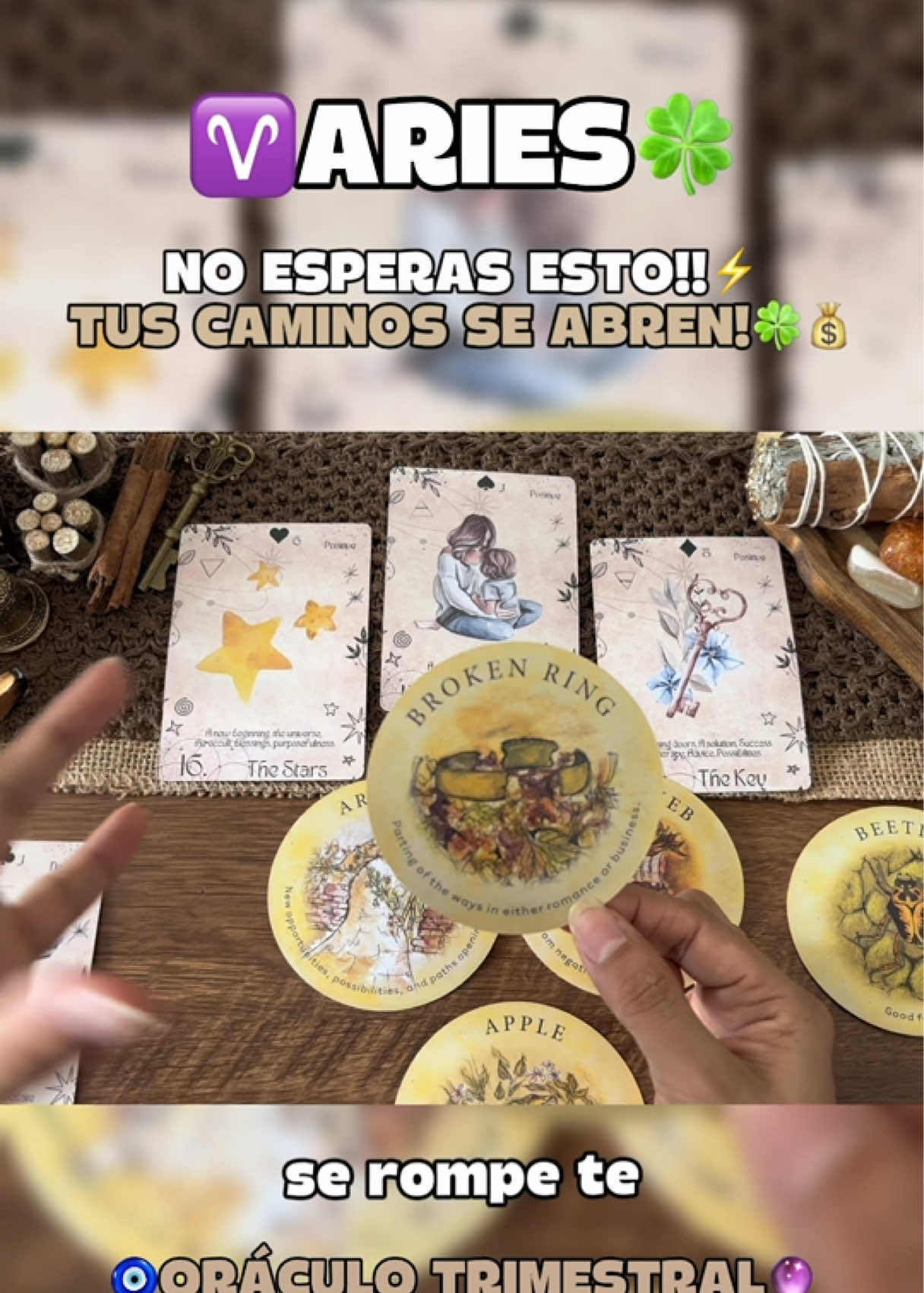 @Andy Sun Tarot ☀️
