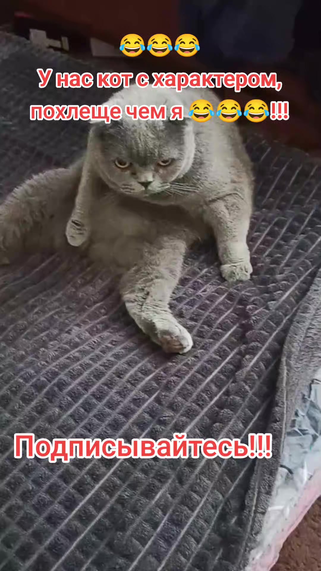 @Varibrus777