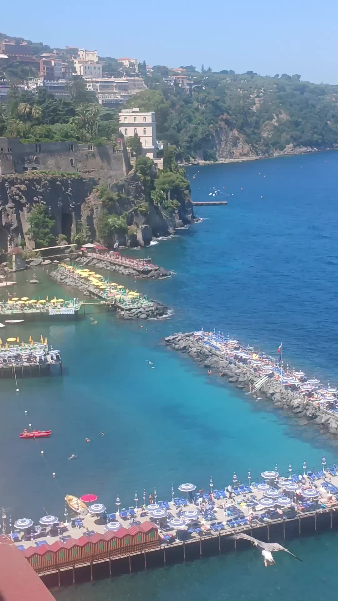 @luigifasciano780