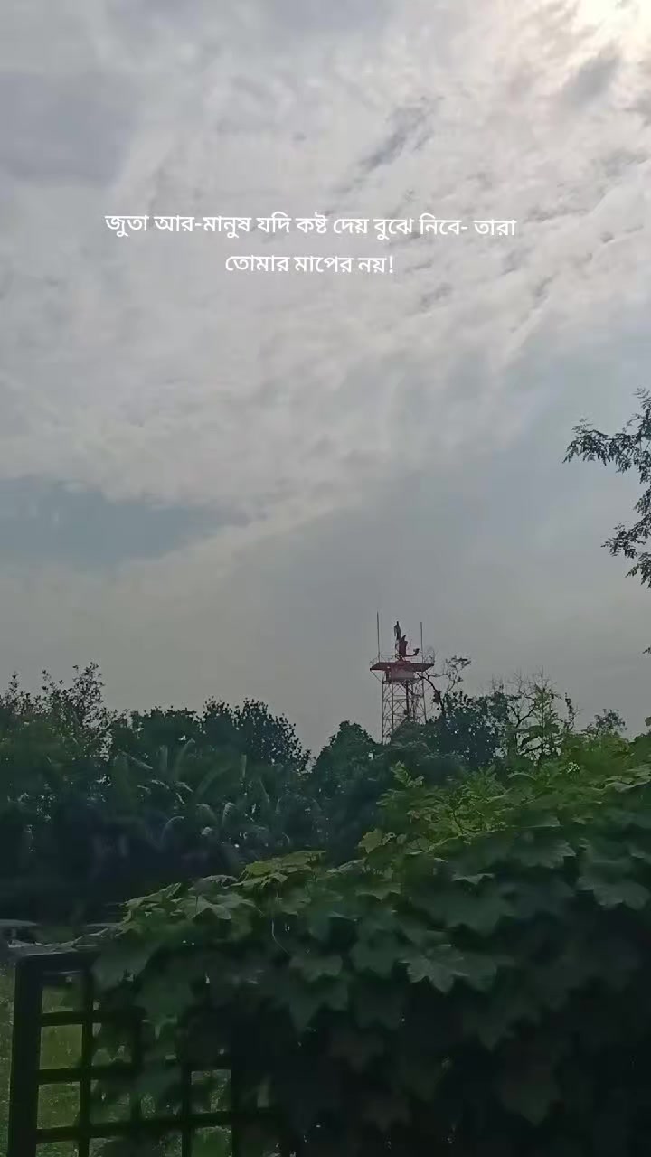 @Mahfujalamsanto6