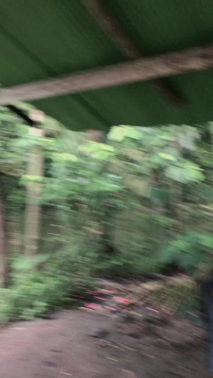 @মোহাম্মদ ফয়সাল