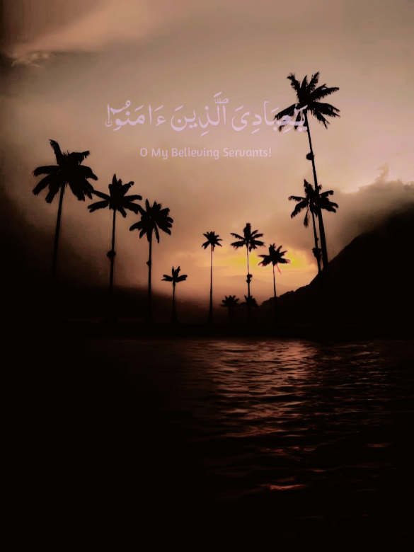 @𝐀𝐦𝐣𝐚𝐝_𝐒𝐚𝐡𝐚𝐫𝐚𝐧
