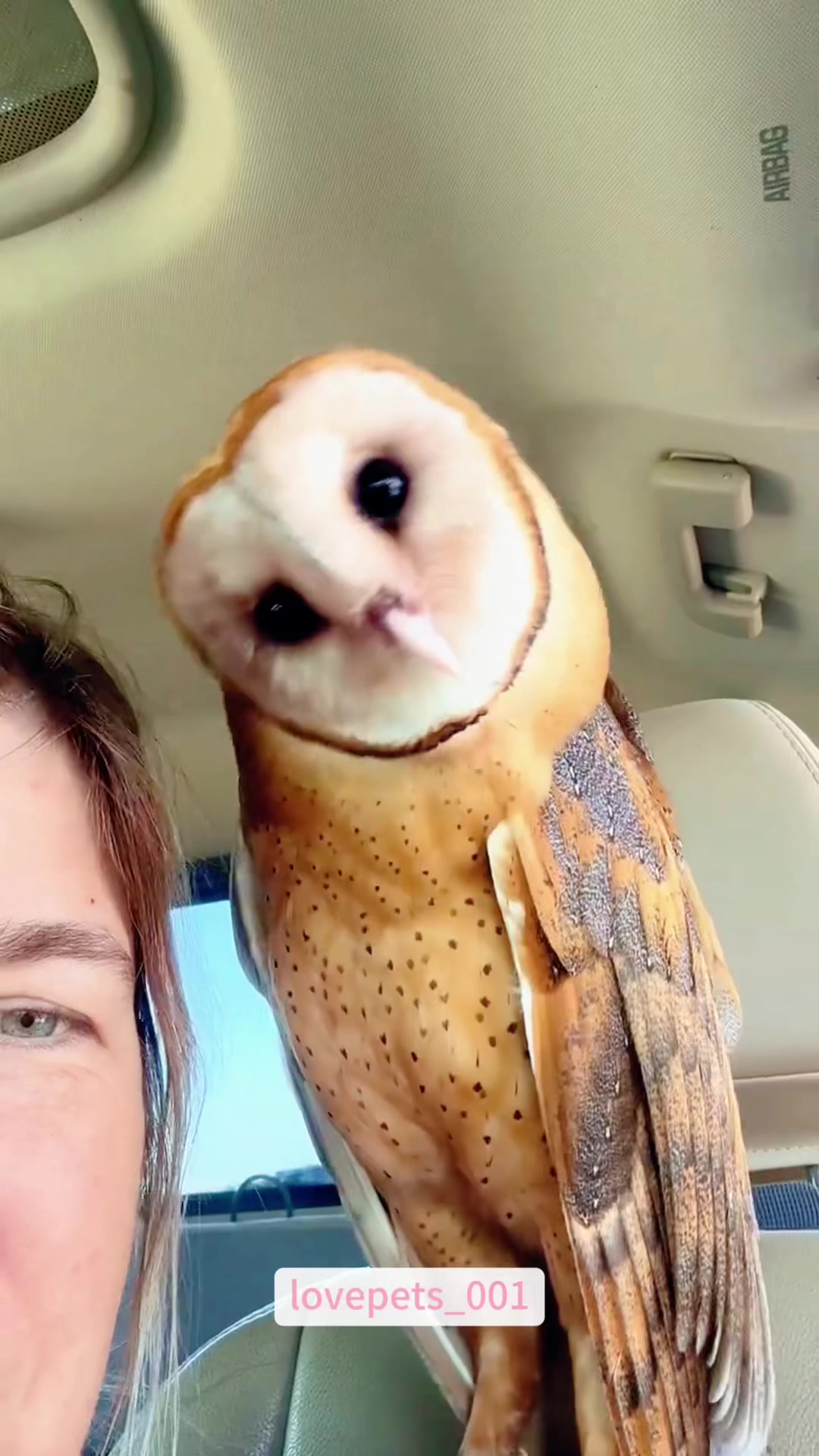 @lovepets_001