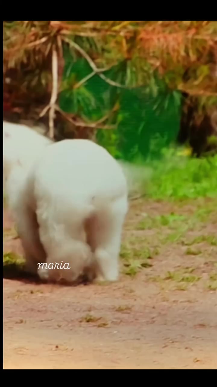 @맘껏웃어요