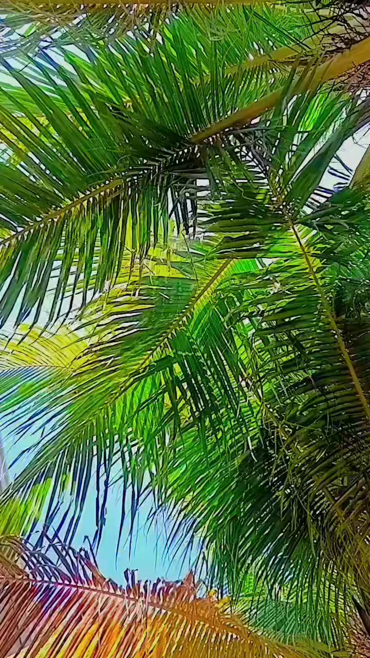 @nilcecramos