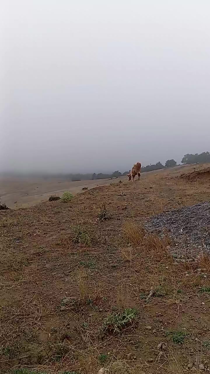@musa_coşkun615