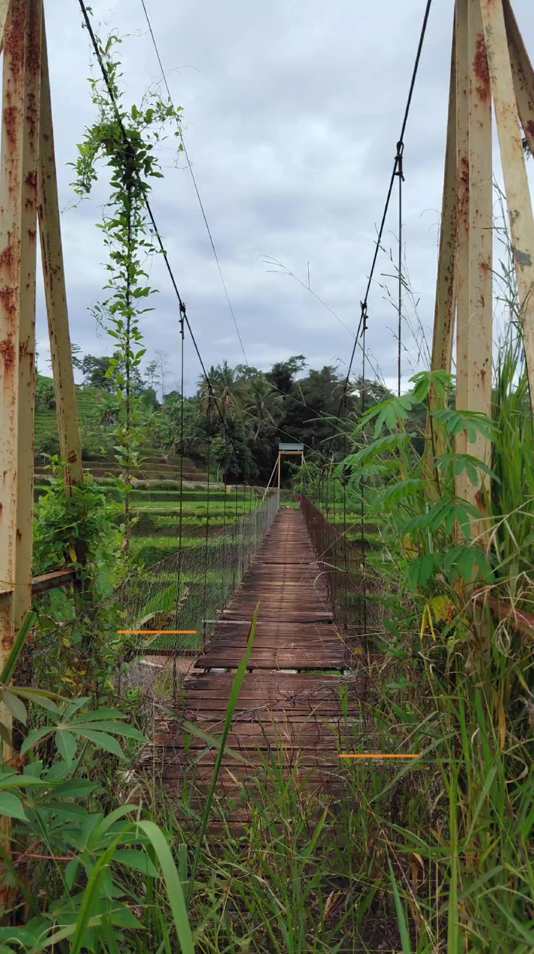 @top_garut