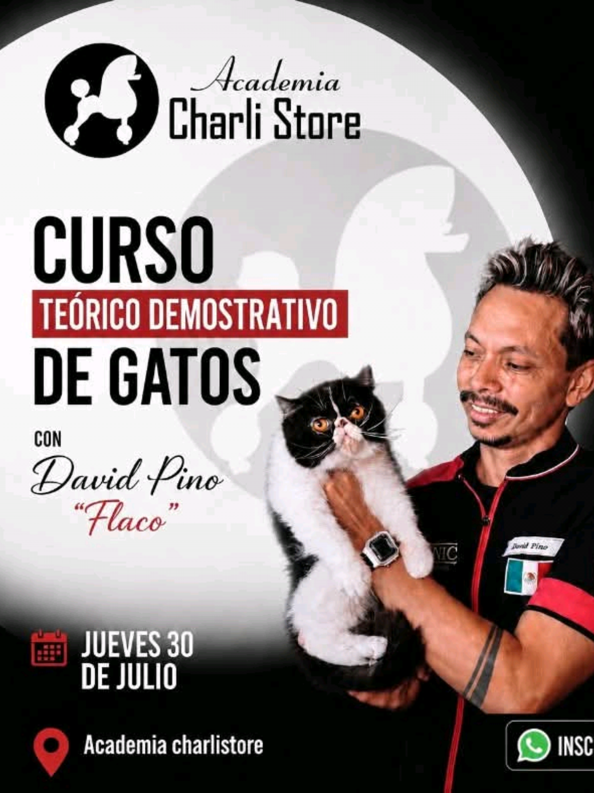 @DavidPino/Mattscotero