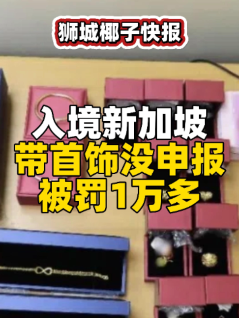 @新加坡狮城椰子