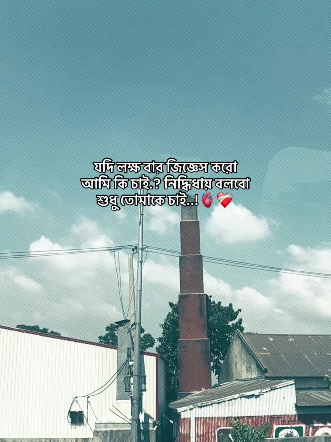 @️ ✭𓅃𝘼𝙡𝙞𝙛 𝙫𝙖𝙞