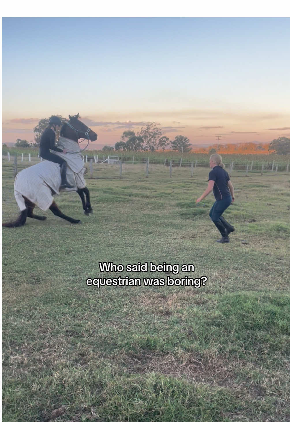 @Hayley Richter