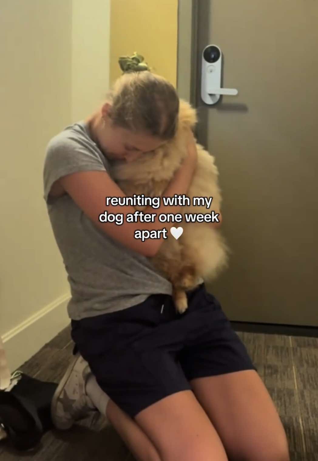 @Keanu the Pomeranian