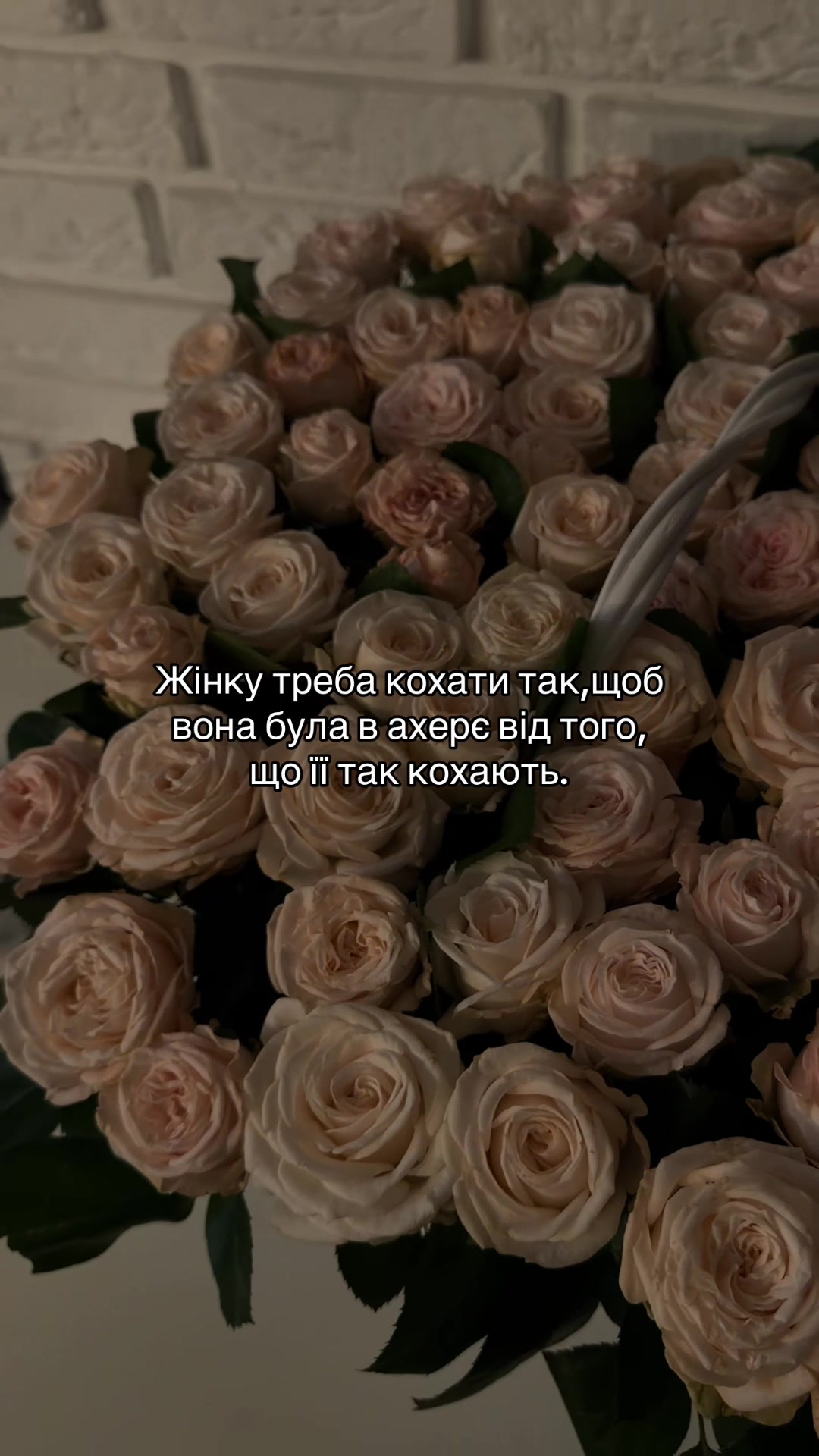 @ch.t___