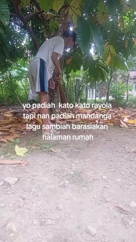 @notifikasi dari tik tok