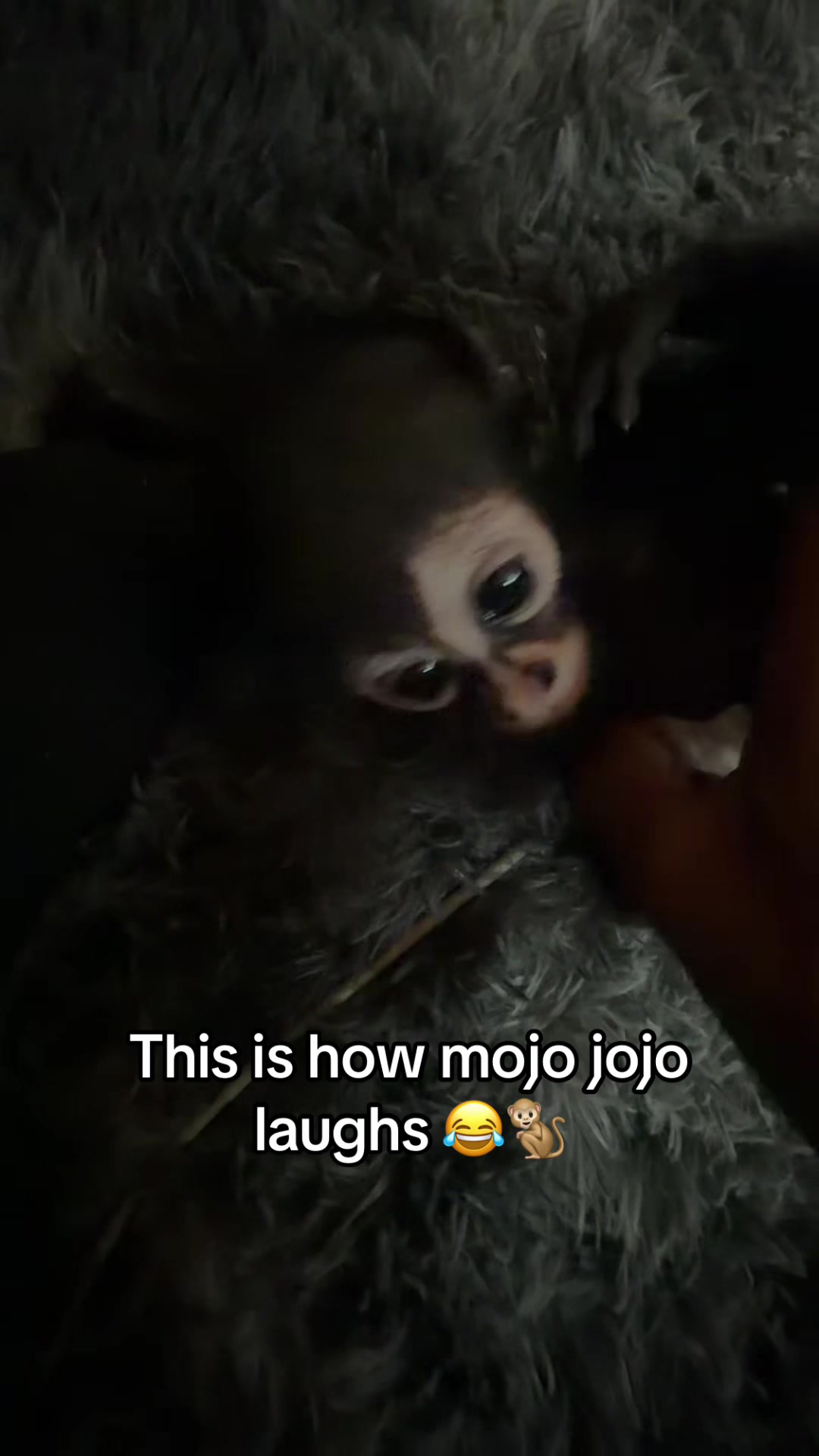 @OJTV & Mojo Jojo🧡