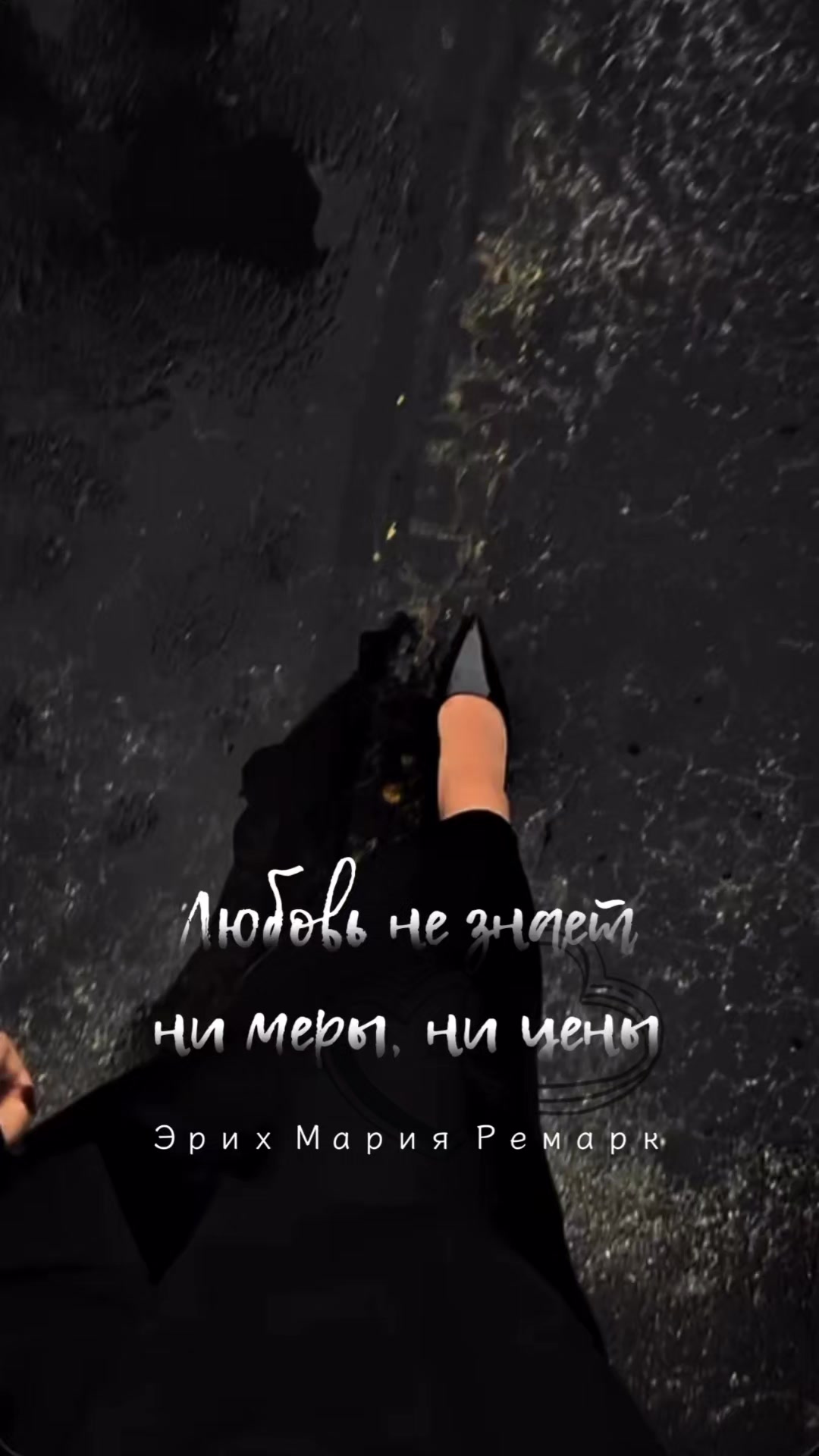 @☆꧁✬◦.𝒱.𝒮𝒽 .✬꧂☆