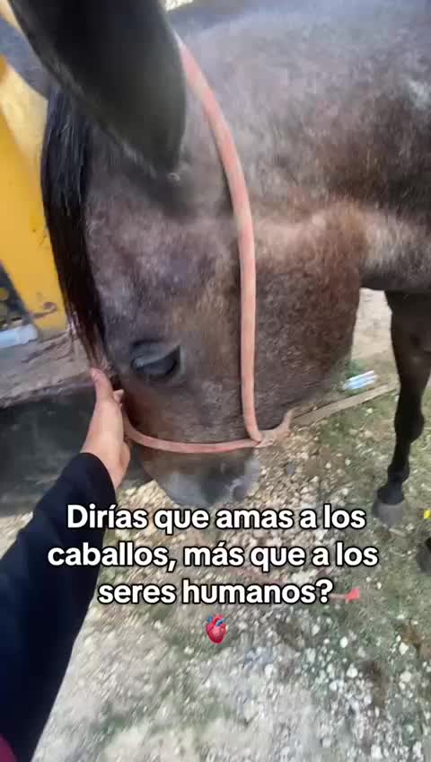 @Marlenis
