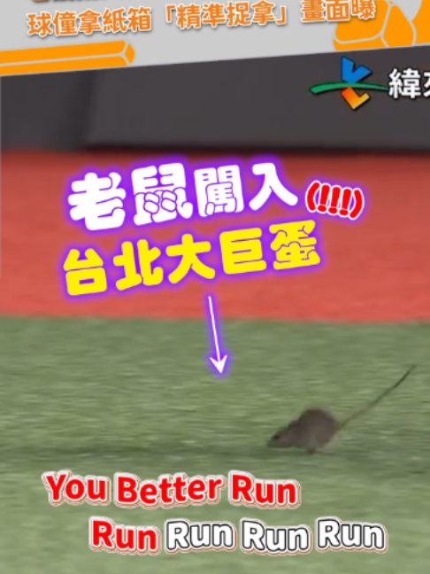 @緯來新聞網