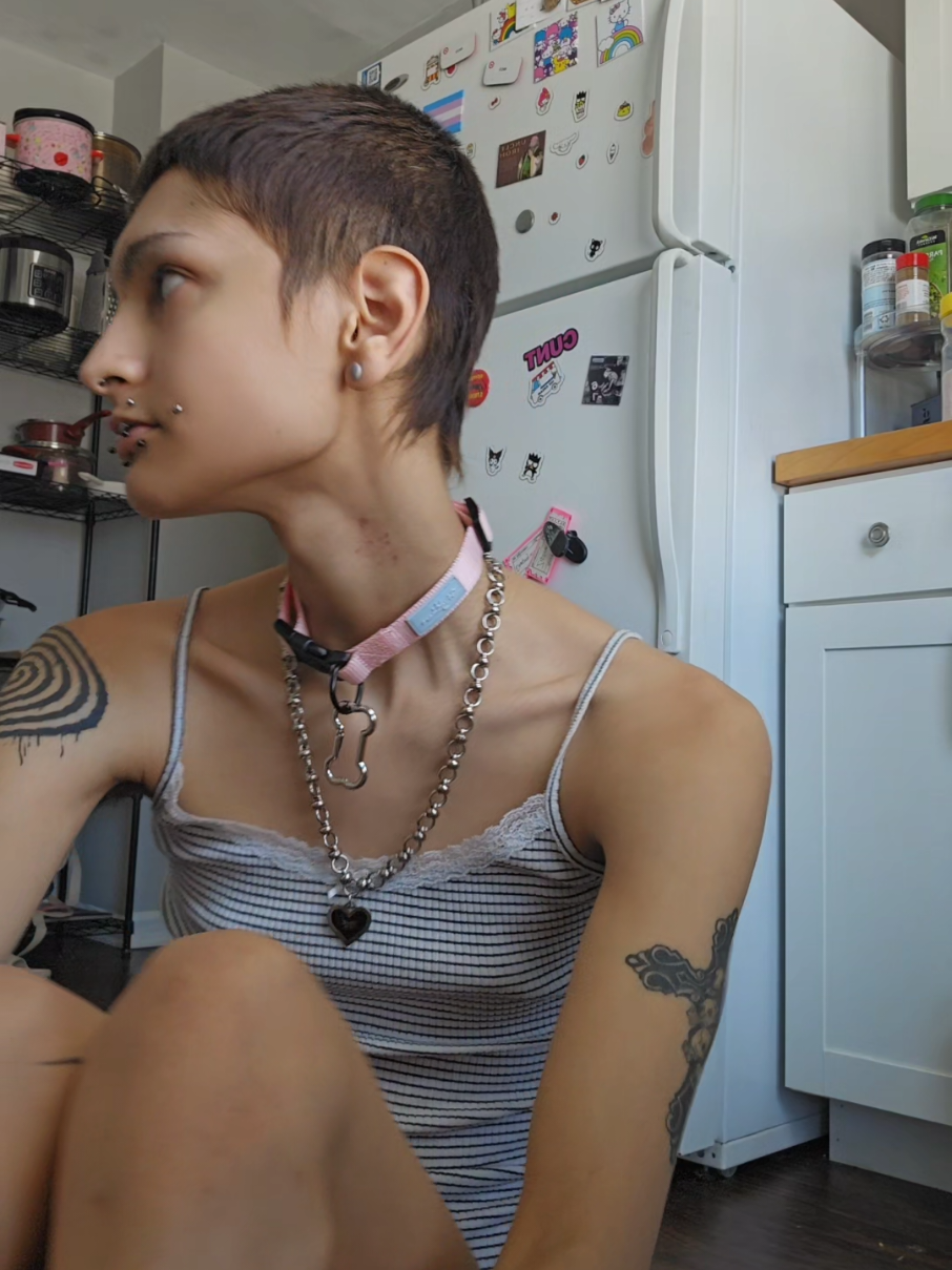 @nicooo