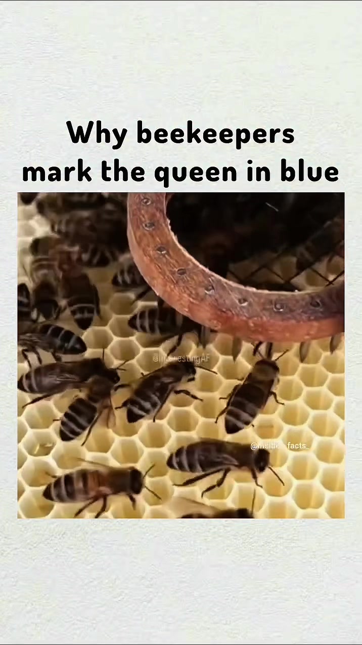 @NEXTSAUCE (ALL CONTENT)