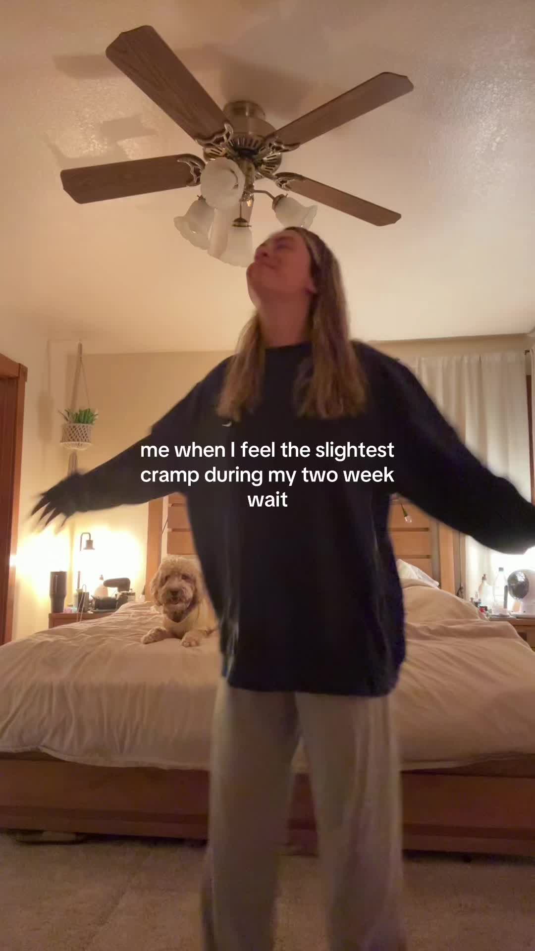 @ellabraungardt