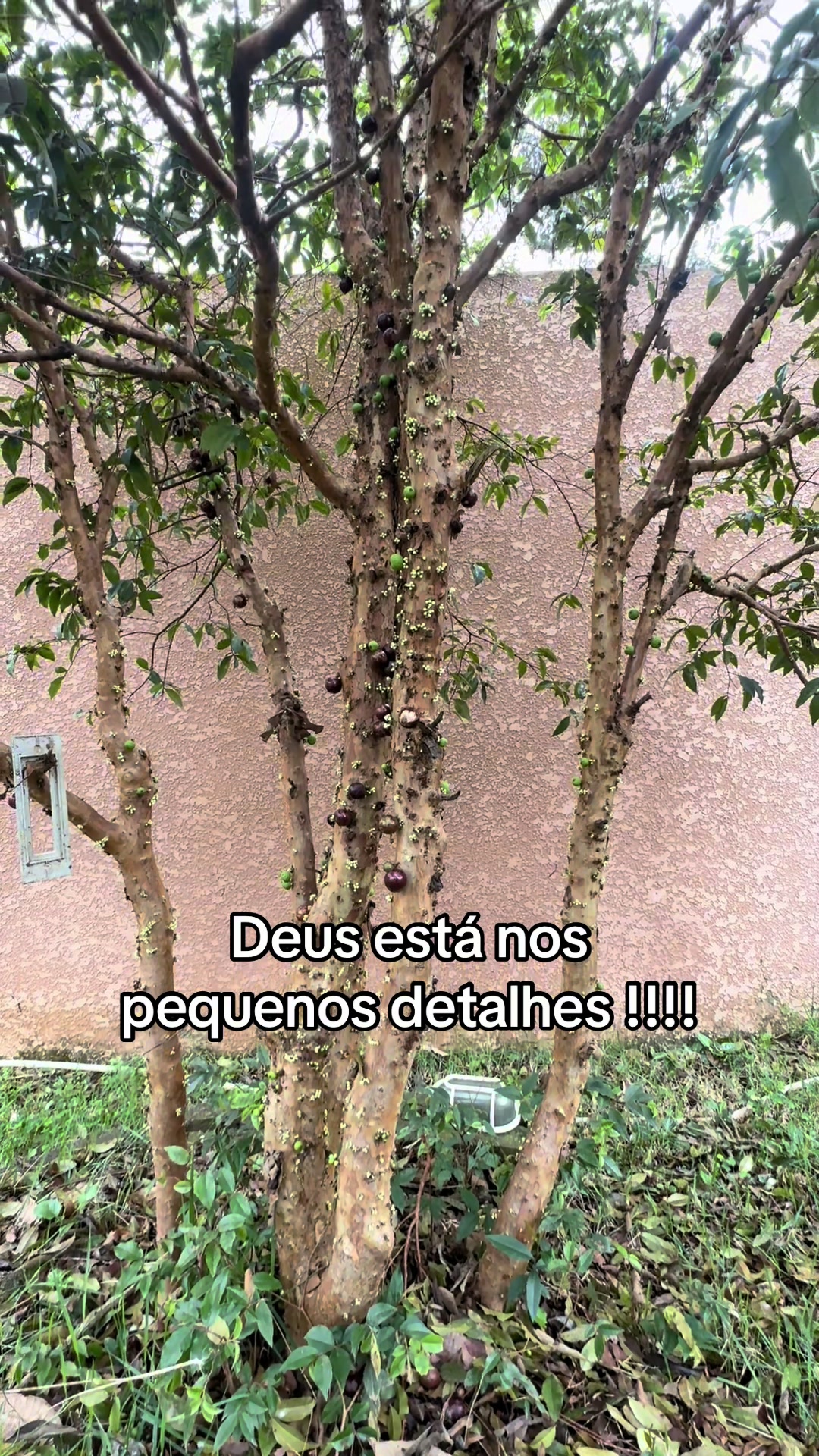 @Sonia Souza